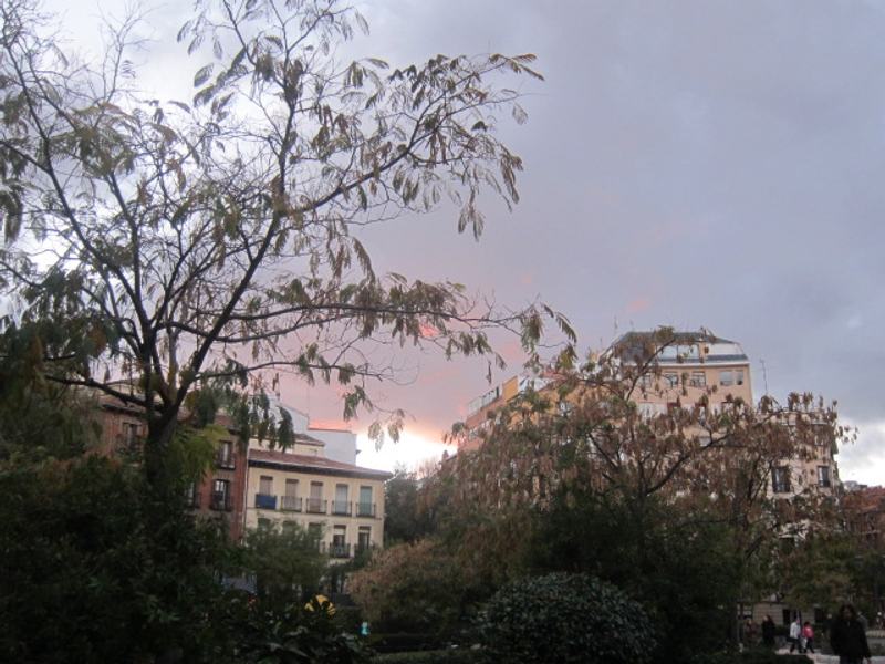 La plaza de Olavide entre árboles