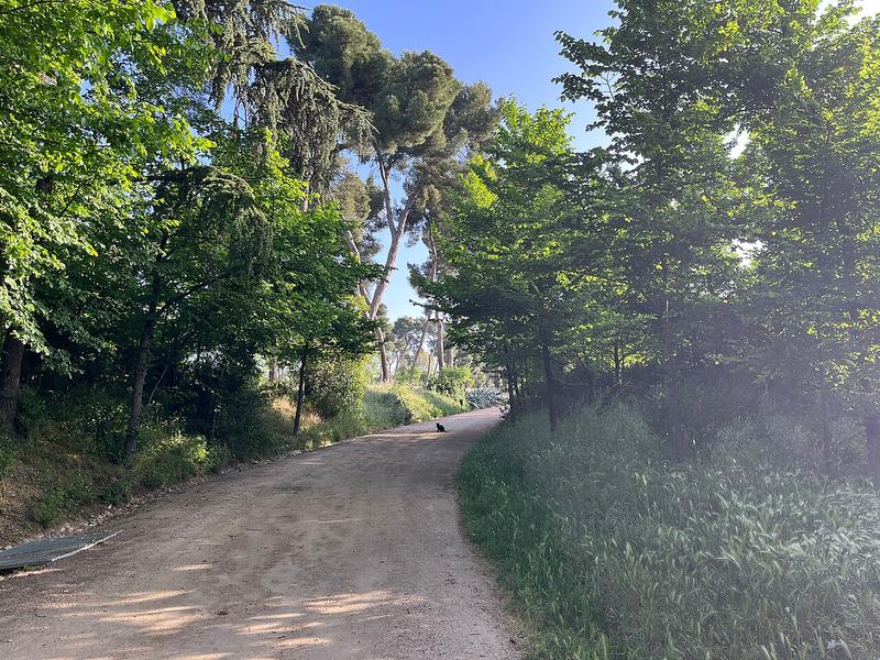 Un sendero de la Quinta de Torre Arias