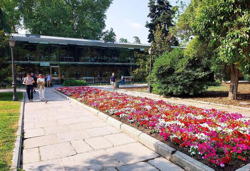 Acceso ajardinado a la biblioteca Eugenio Trías en el Retiro